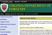 Virginia Department of Forestry: Riparian Forest Buffers
