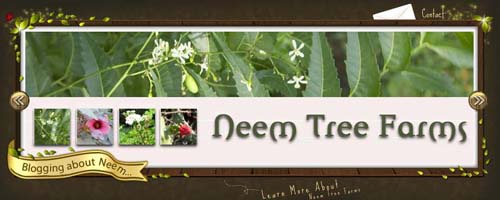 neem tree farms