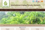 International Analog Forestry Network