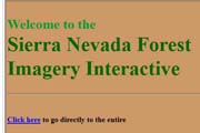 Sierra Nevada Forest Interactive