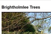 Brightholmlee Trees
