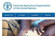 Food and Agriculture Organization of the United Nations: Agroforestry