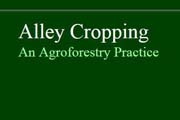 The Loret Miller Ruppe Program in Forestry: Alley Cropping