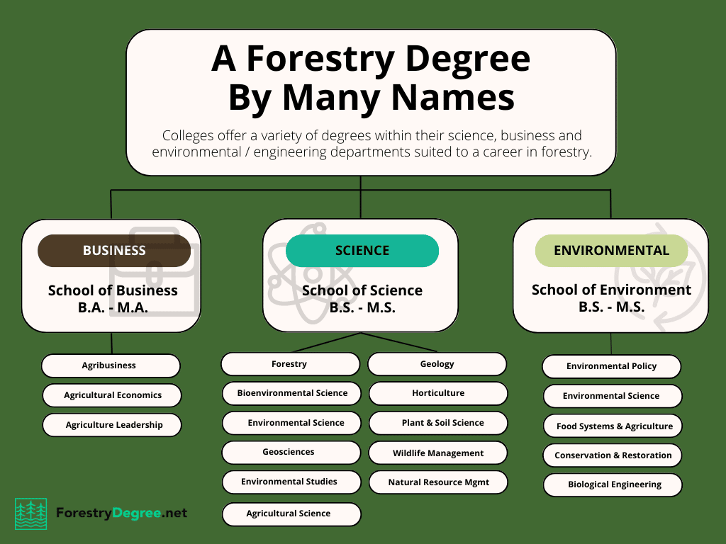 A Forestry Degree By Many Names